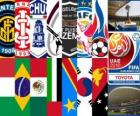 FIFA Dünya Kulüpler Kupası EAU 2010
